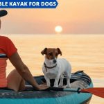 best inflatable kayak for dogs - Featured Image