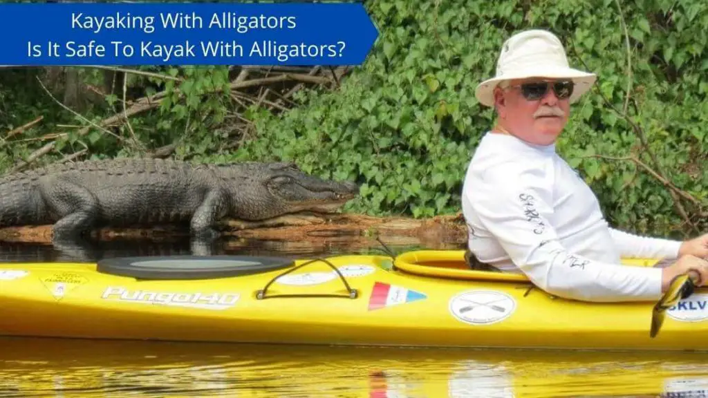 kayaking with alligators