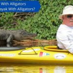 Kayaking With Alligators & Crocodiles - Is It Safe To Kayak With Alligators?