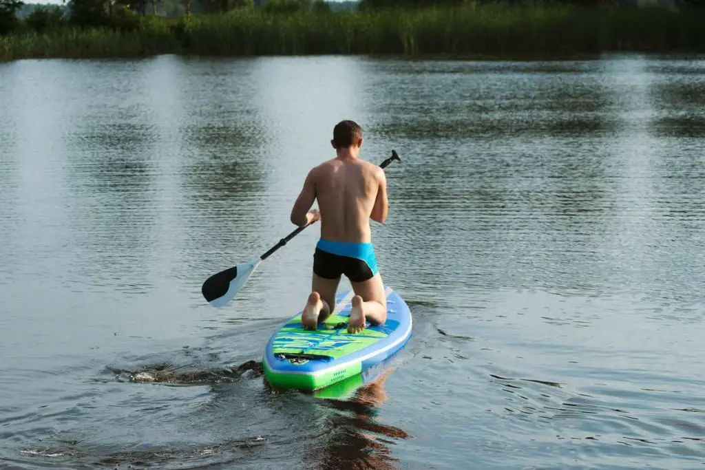 A man floats on a sup Board on the lake, rear view, paddle on the Board, forest lake