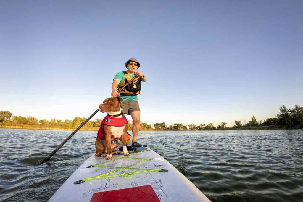 paddling inflatable stand up paddleboard with a pitbull dog on lake in Colorado, POV from an action camera