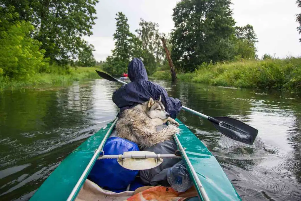 Kayak fishing is popular for a variety of reasons