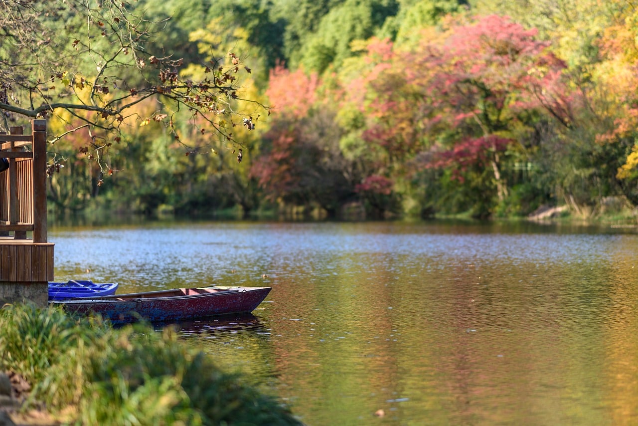 river, boat, river bank, lake, nature, water surface, outdoor