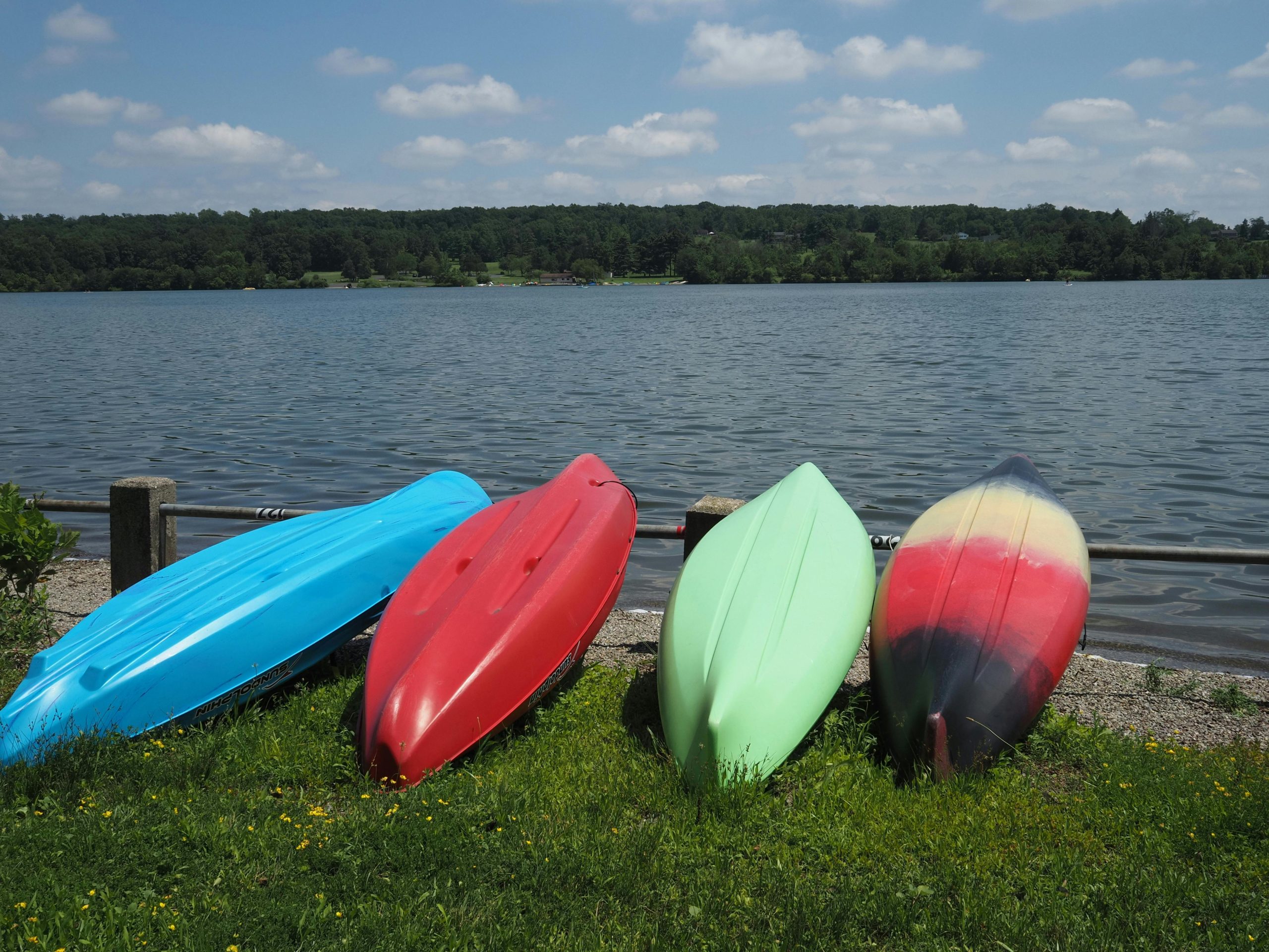 Four vibrant kayaks rest by the lake in Doylestown, Pennsylvania, on a sunny summer day.