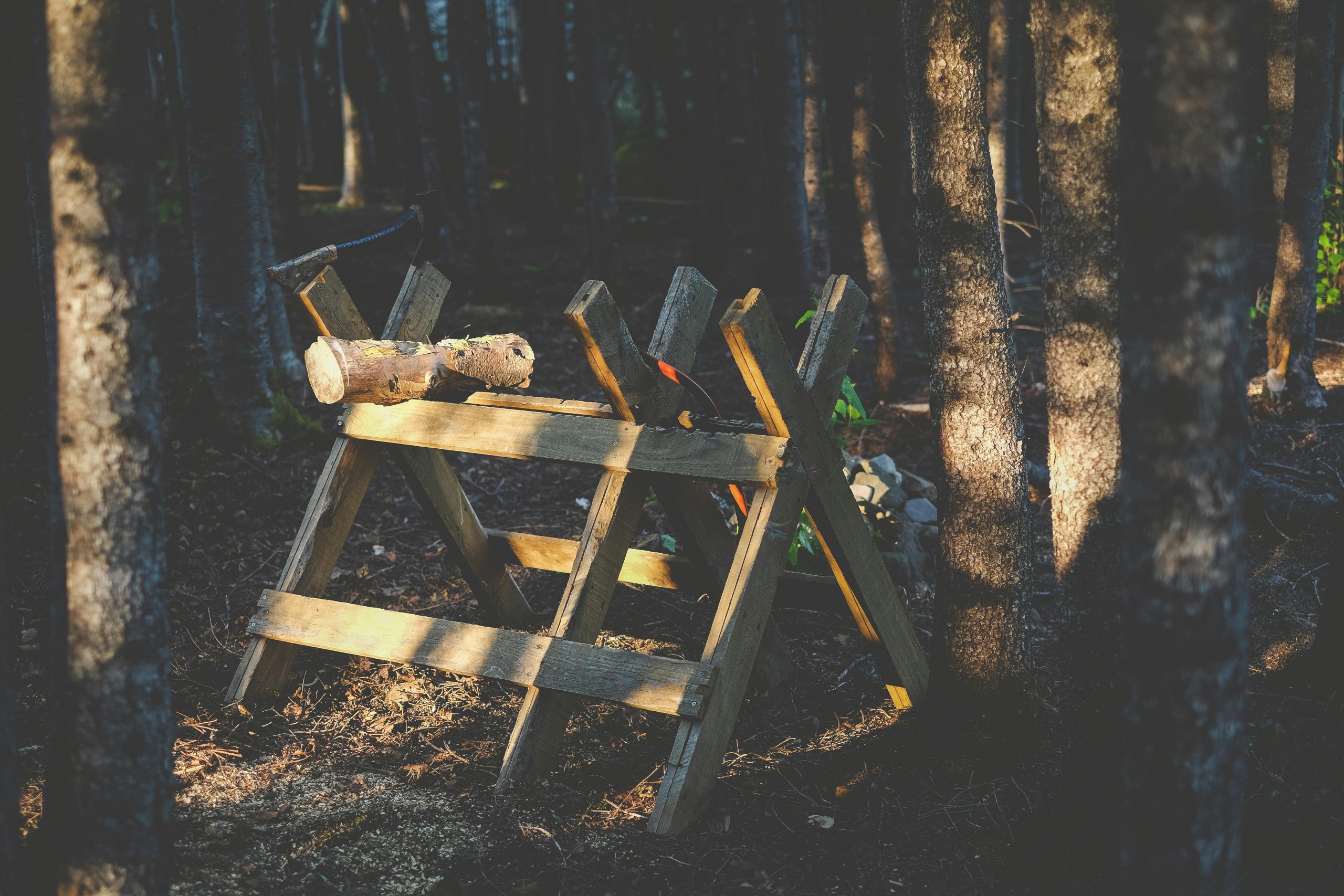 A wooden saw horse holding logs in a sunlit forest, highlighting rustic outdoor work.
