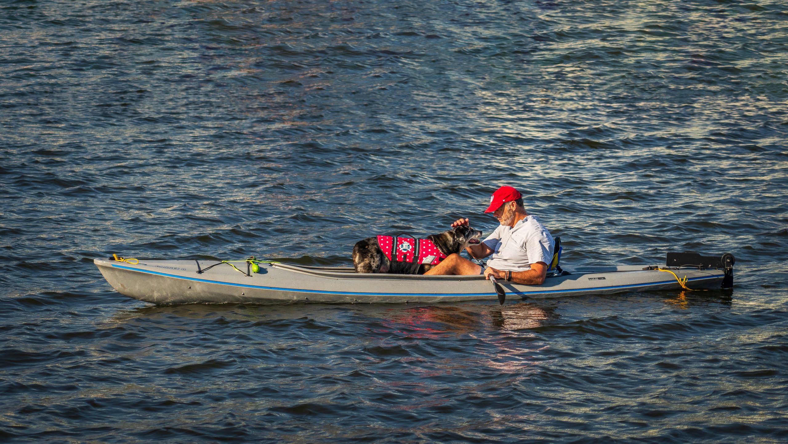 Man and dog in a canoe on a sunny day, enjoying relaxation on open water.
